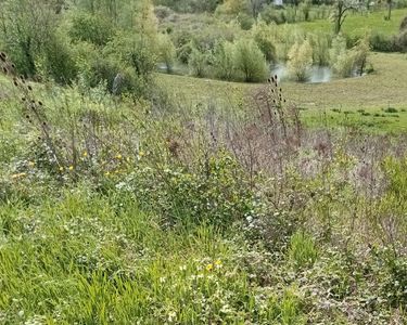 Terrain Thoraise, très bel emplacement