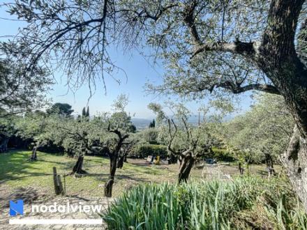 Terrain Vente Grasse  983m² 289999€