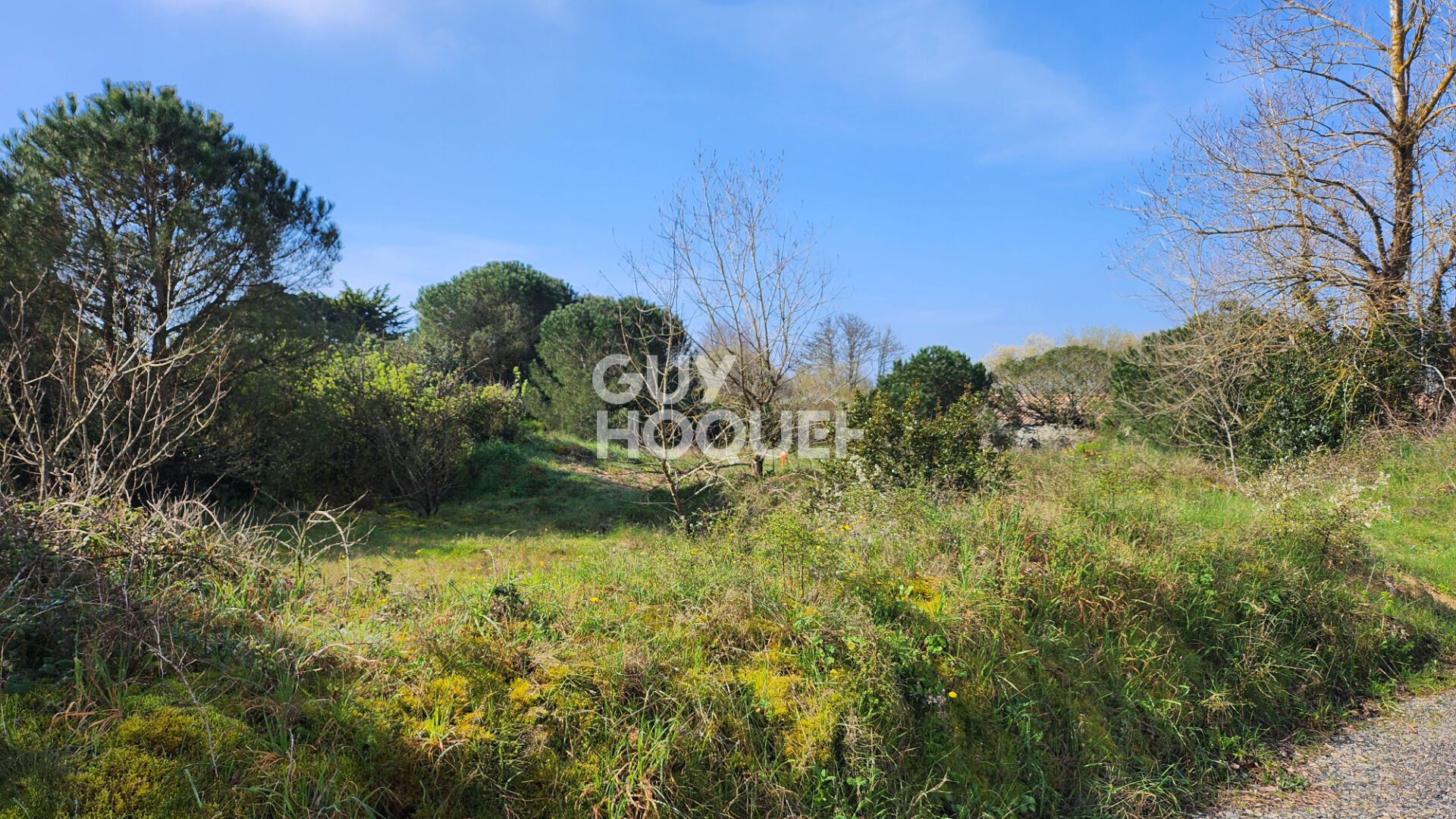 Terrain Saint Hilaire de Riez proche plage et forêt