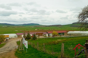 VOSGES EXPLOITATION MARAÎCHERE ET HORTICOLE BÂTIMENTS ET TER