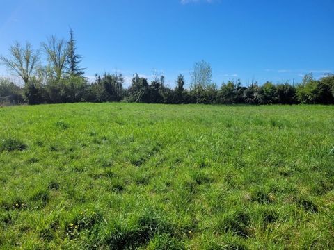 Opportunité Rare ! Terrain Constructible de 1000m²