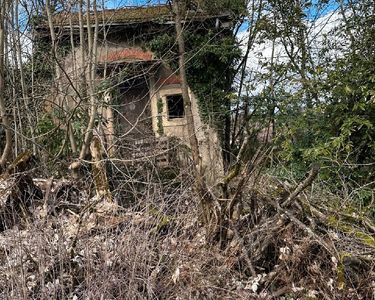 Maison au milieu de la nature