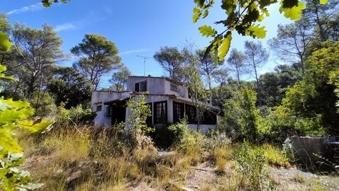 Maison avec 9200m&#178; &#43; cabanon