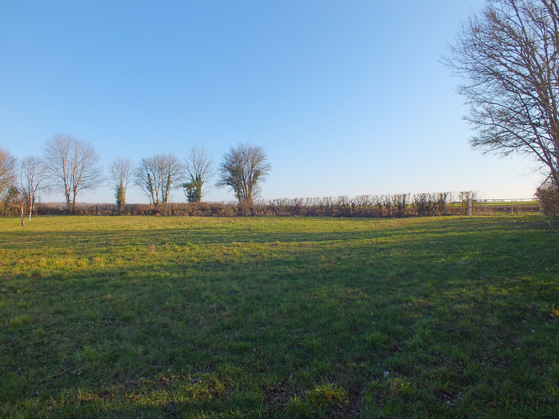 Dpt Côte d'Or (21), à vendre MUSIGNY terrain - Terrain de 6 500,00 m²