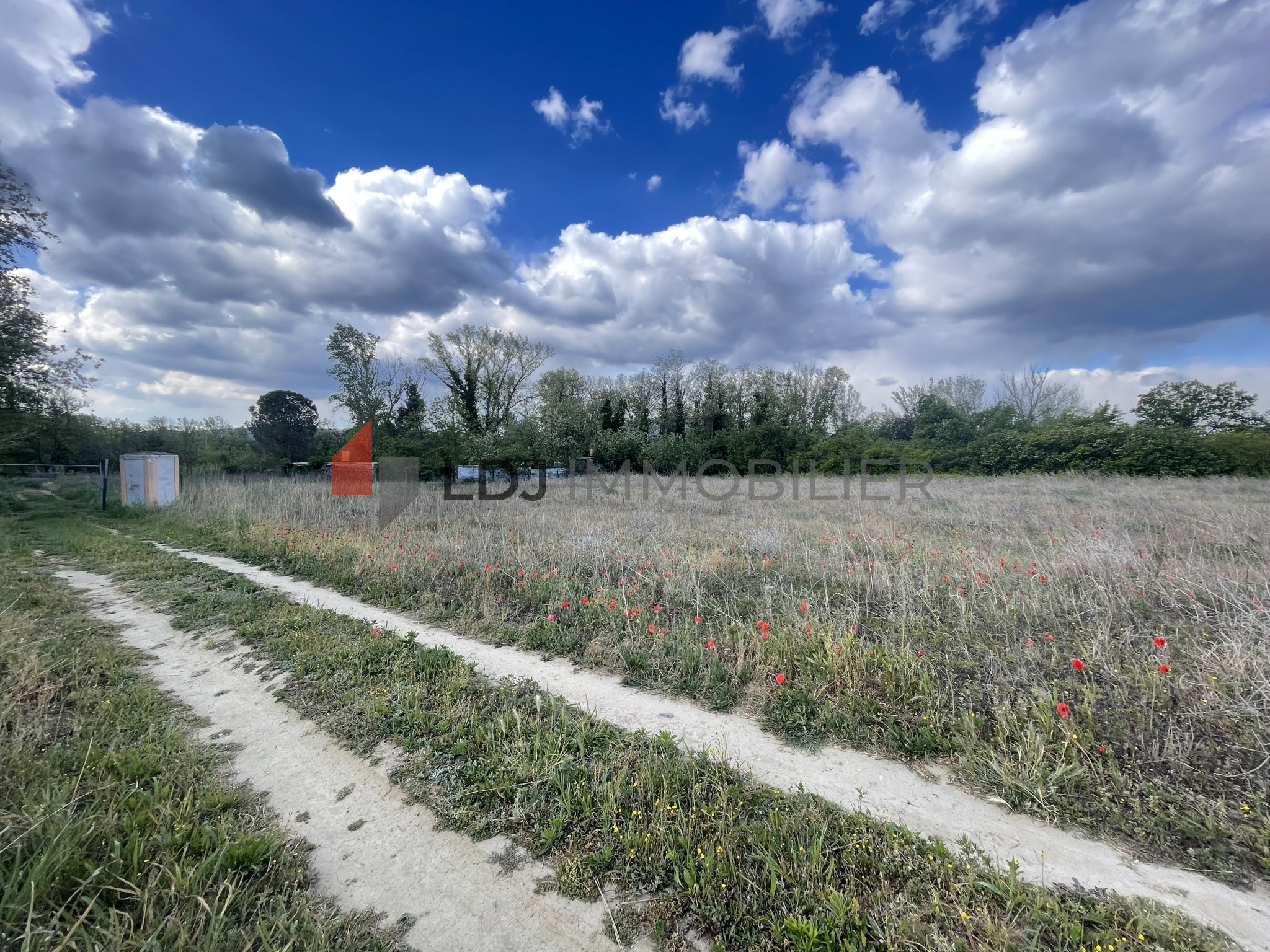 Vente Terrain Saint-Jean-Pla-de-Corts