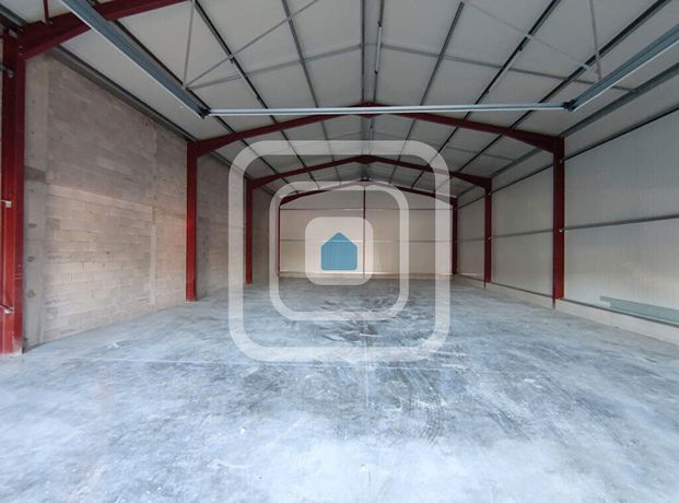 Local commercial 230 m²