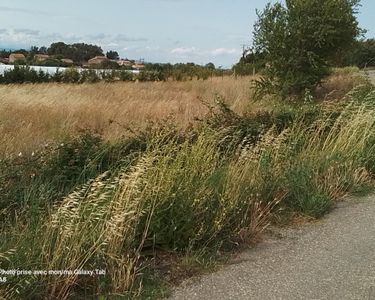 Terrain de loisir