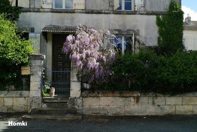 Maison de bourg