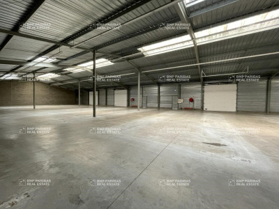 Local commercial 1320 m²