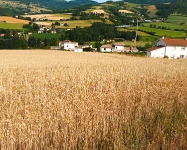 Terrains à bâtir viabilisé