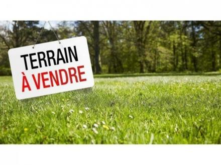 Terrain Vente Crevin  336m² 69000€