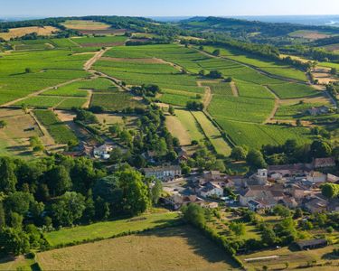 Village du Mâconnais, vends murs et fonds de Restaurant 300m2 + dépendances