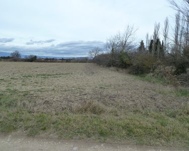 Terrain agricole 1650 m²