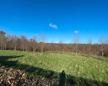 Opportunité rare Terrain agricole avec diverses essences d'arbres près de la forêt de Balleroy