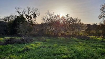 Terrain constructible de 400m2 à Artigues-près-Bordeaux (33370)