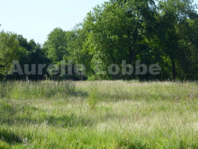 Terrain Vente Charmentray  600m² 229000€