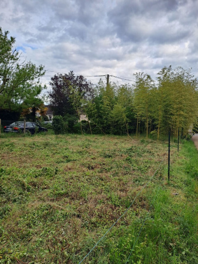 Terrain Vente Grez-sur-Loing  183m² 57000€