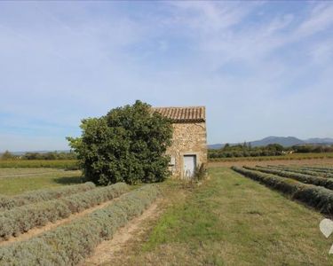 Bien Agricole 12349 m² VALREAS