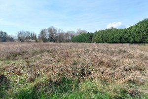 Très grand terrain constructible au coeur d'un village de l'Yonne