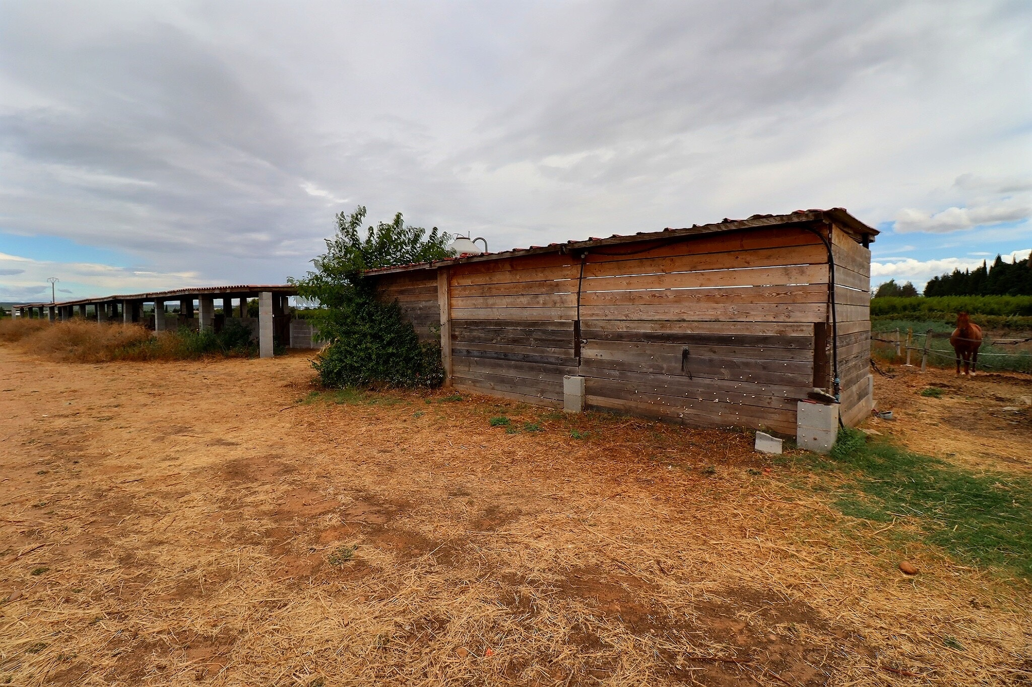 TERRAIN AGRICOLE DE 2500M2 AVEC EQUIPEMENT POUR CHEVAUX - AU 