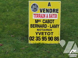 Terrain 7810 m²