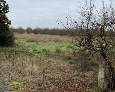 Terrain à louer | Eau + Elec