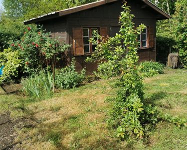 Jardin bord du Clain