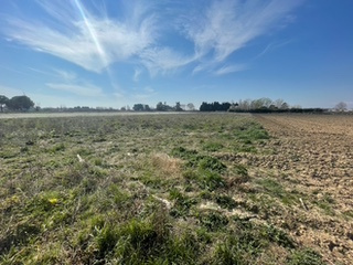  MAUGUIO : TERRAIN AGRICOLE DE 6463m2 