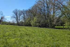 Terrain plat dans petit hameau proche du Lac de Miel 