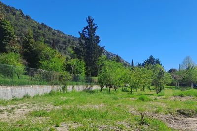 Terrain Vente Levens  800m² 210000€