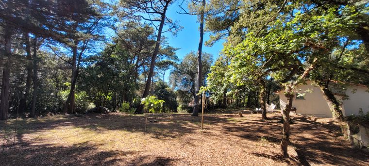 Terrain Vente Saint-Brevin-les-Pins  1000m² 420000€