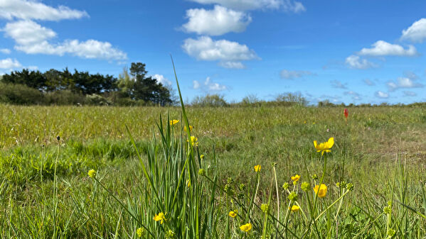 Terrain Givrand 224m2