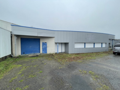 Local commercial 1445 m²