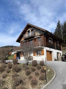 Chalet - vue imprenable - Xonrupt-Longemer