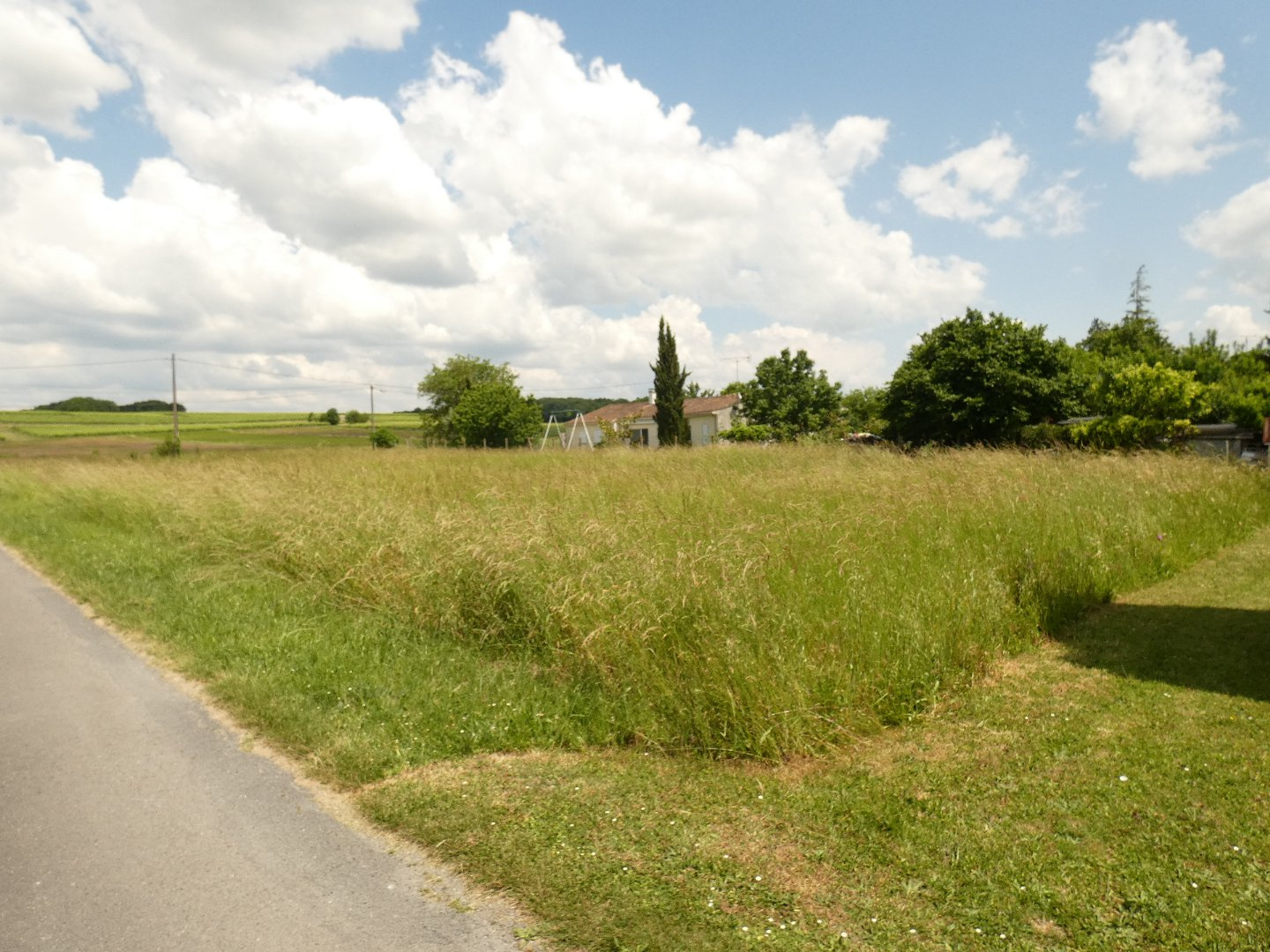 A vendre entre St Fort sur le Né et Verrières - Terrain cons 