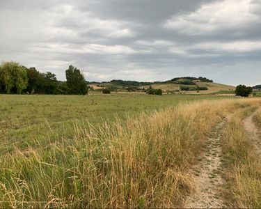 Terrain agricole