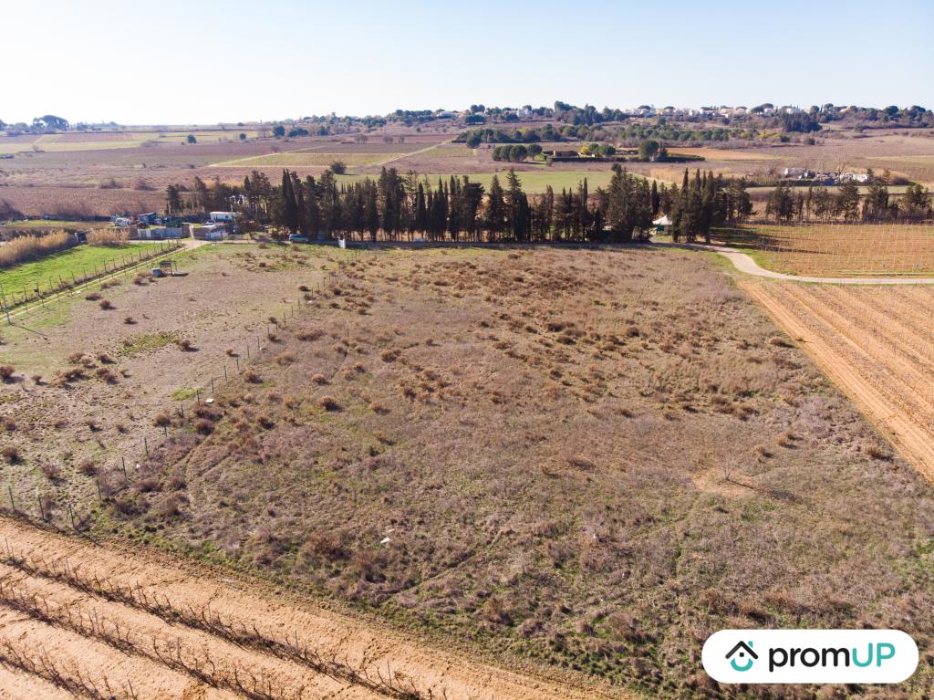 Vente Terrain agricole 3200 m² à Portiragnes 74 000 €