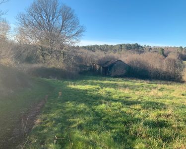 Ruine dans la prairie