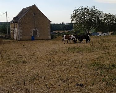 Maison avec grand terrain