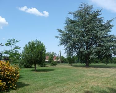 Magnifique terrain à Bâtir de 1500 M² 