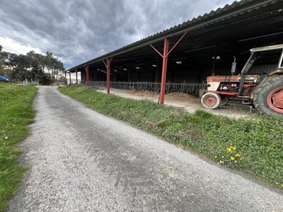 SEVIGNACQ, A VENDRE ferme de 23 hectares, avec bâtiments agricoles.