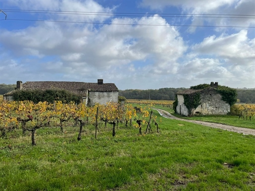 Maison à vendre Puisseguin