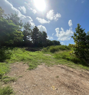 GUADELOUPE  Saint-François terrain constructible de 1288 m2