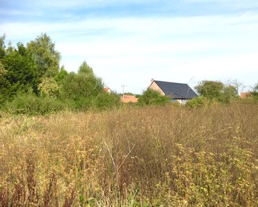 À saisir TERRAIN CONSTRUCTIBLE bâtiment Merville