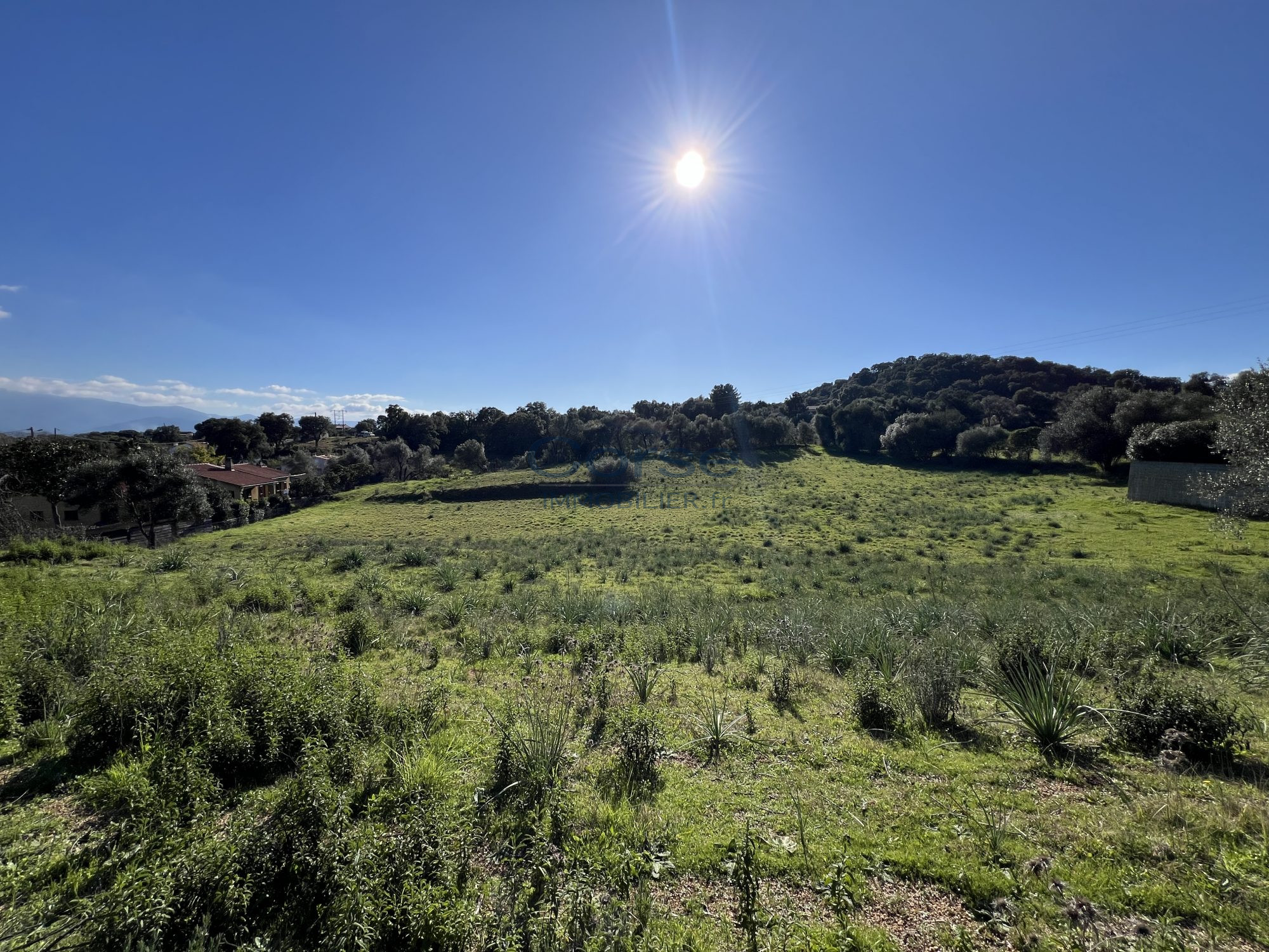 TERRAIN AVEC VUE DÉGAGÉE - 1200 M2