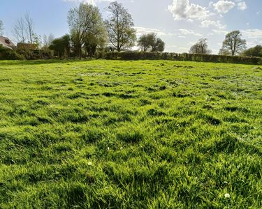 Terrain 1040 m² Nielles-lès-Bléquin