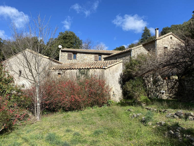 Mas provençal 12 pièces 217 m²