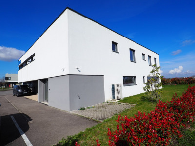 Bureaux 310 m²