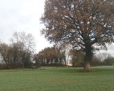 Terrains viabilisés a vendrennes