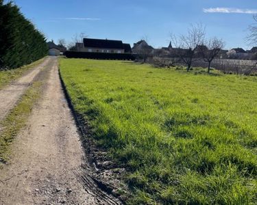 Terrain 86895 m² Puligny-Montrachet